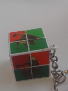 2x2 rubix cube from Natural History Museum shop