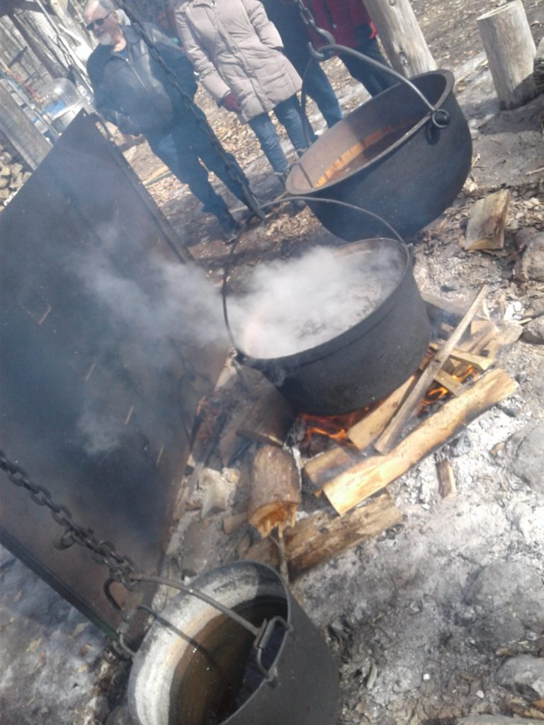 three pots of sap at Sandy Flat. The middle pot is hung over a fire and steam rises off the boiling sap. 