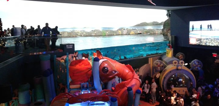 Looking down from the main entrance of Ripley's Aquarium toward the Children's discovery centre, packed to the brim with people.