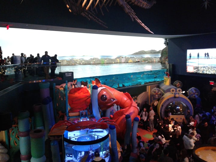 upper angle looking down on children's discovery section at Ripley's Aquarium towards giant clown fish, ray tank in back ground. People are everywhere.